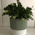 Klant imago Bloemenstokjes 40 cm x 4 mm - 50-pack