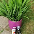 Klant imago Spuitverf - Glans (glanzend) - Montana - 400 ml