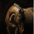 Klant imago PanPastel - Verbrande Sienna-schaduw