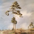Klant imago Aquarelblok Gelijmd Ruw bos Bogen 300g - A5