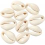Schelpen - naturel - 12 st
