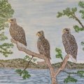 Klant imago Acrylblok Hahnem�hle 330g - 30x40cm