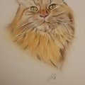 Klant imago Accademia-tekenblok, 297x420 mm