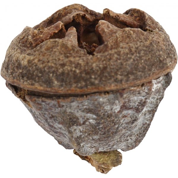 Eucalyptuskegels - 25 g Eucalyptuskegels - 25 g