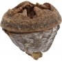 Eucalyptuskegels - 25 g