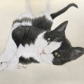Klant imago Kleurpotlood Polychromos - 199 Zwart