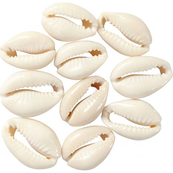 Schelpen - naturel - 12 st