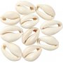 Schelpen - naturel - 12 st
