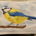Klant imago Aquarelpen Cretacolor Marino - Mosgroen Donker (182)