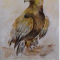 Klant imago Aquarelblok Gelijmd Ruw bos Bogen 300g - A4