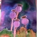 Klant imago Aquarelpen Mondeluz - 24 pennen blikken doos