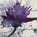 Klant imago Aquarelverf W&N Professional Tube 5 ml - 322 Indigo