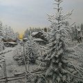 Klant imago Acrylverf W&N Galeria 120ml - 346 Citroengeel