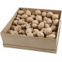 Eieren - papier-mach - 140 st