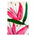 Klant imago Aquarelverf W&N Cotman Half kopje - 580 Roze meekrap tint