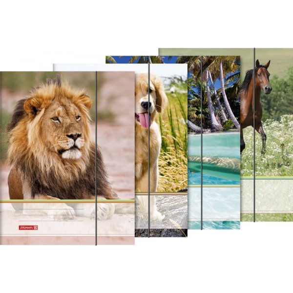 Mapje met elastieken band - A4 - dieren