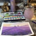 Klant imago Synthetische borstel Aquafine 278 Skyflow - Nr. 3