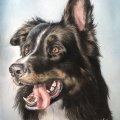 Klant imago Aquarelblok Heetgeperste Bogen 300g - 36x51 cm