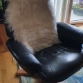 Klant imago Zelfklevend klittenband 20mm zwart 1,2 m