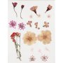 Gedroogde bloemen en bladeren - lichtroze