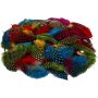 Parelhoenveren - gemengde kleuren - 50 g