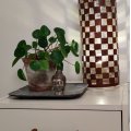 Klant imago Stukjes leer 1 kg - Bruin
