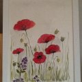 Klant imago Fabriano aquarelblok 300 g ruwe korrel - 355 x 510 mm - 15 vellen