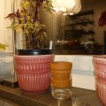 Klant imago Terracotta potten 6 cm - 10-pack