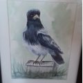 Klant imago Aquarelblok Gelijmd Ruw bos Bogen 300g - A4
