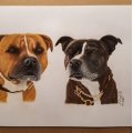 Klant imago Accademia-tekenblok, 210x297 mm