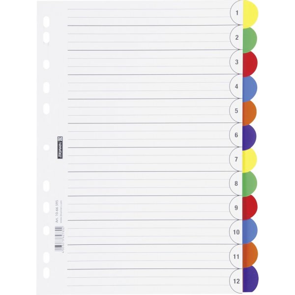 Index voor ringband - A4 - 12 tabs