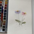 Klant imago Aquarelverf W&N Cotman Half kopje - 003 Alizarin karmozijnrode tint