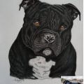 Klant imago Accademia-tekenblok, 429x594 mm