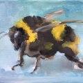 Klant imago Talens Gouache - Wit
