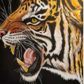 Klant imago Opgespannen canvas Katoen/polyester 310g - F20 - 60 x 73 cm