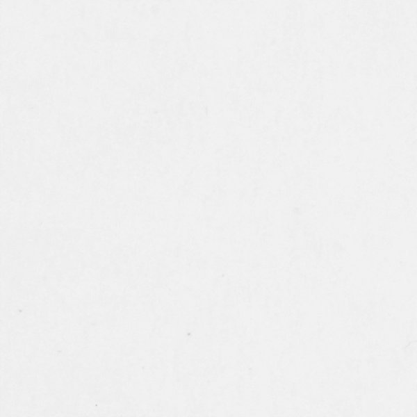 Etiketten in stevig karton - 25 x 40 mm - wit - 100 st Etiketten in stevig karton - 25 x 40 mm - wit - 100 st