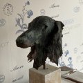 Klant imago Keramisch kunststof - wit 1.000 g luchtdrogend