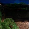 Klant imago Vilten vel 30 x 45 cm x 3,0 mm - donkergroen 550 g/m� 100% polyester