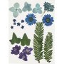 Gedroogde bloemen en bladeren - blauw