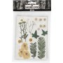 Gedroogde bloemen en bladeren - gebroken wit