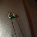 Klant imago Magneten � 12,5 mm - 12 st. ronde