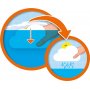 Badspeeltje - na regen komt zonneschijn