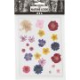 Gedroogde bloemen en bladeren - gemengde kleuren
