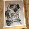 Klant imago Canson Mi-Teintes Touch 350g 50x65 cm - Lichtgrijs