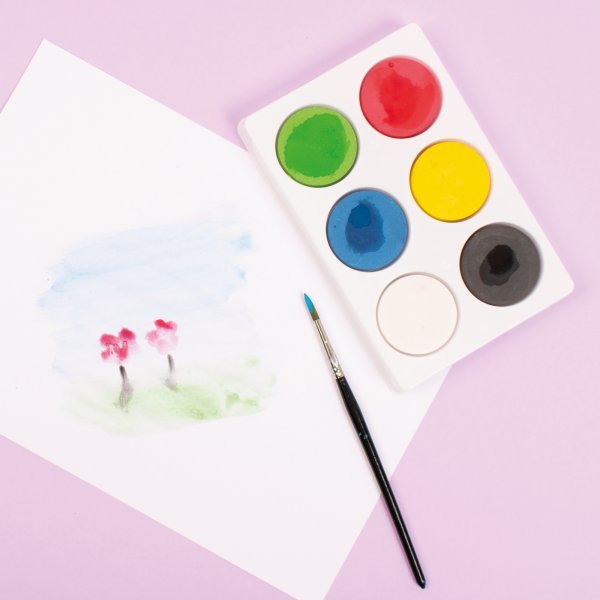 Kleurenpalet voor 44mm - 6-vaks - 6 st