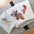 Klant imago Tekenmap met elastische band - 37x52 cm