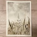 Klant imago Aquarelblok Gelijmd Koudgeperste Bogen 300g - A4