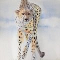 Klant imago Aquarelblok Gelijmd Koudgeperste Bogen 300g - A4