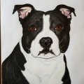 Klant imago Accademia tekenblok, 148 x 210 mm