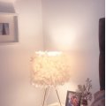 Klant imago Decoratieve veer 50-100 mm - vanille 10 g ~ 110-pack
